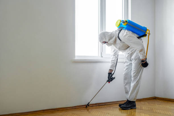 Hendersonville, NC Pest Control Company