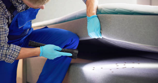 Best Affordable Pest Control Services  in Hendersonville, NC